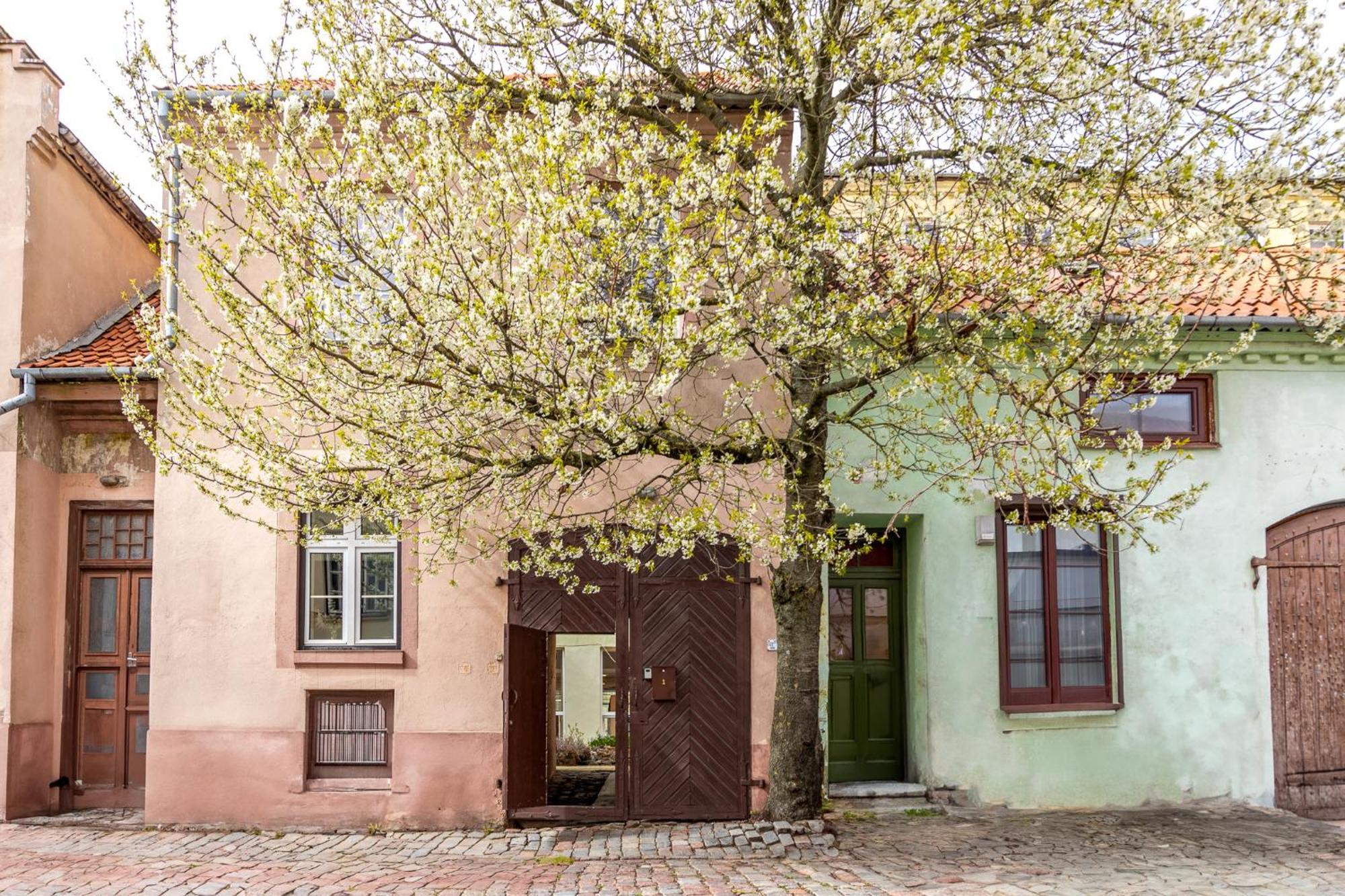 In The Heart Of The Old Town Vip Apartment Kłajpeda Zewnętrze zdjęcie